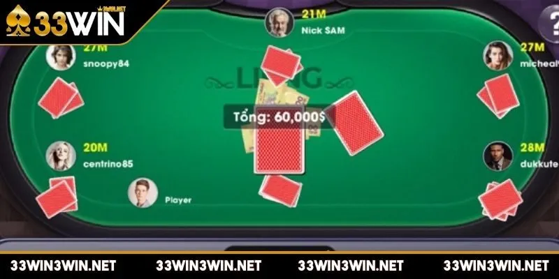 bai-3-cay-mien-bac-kham-pha