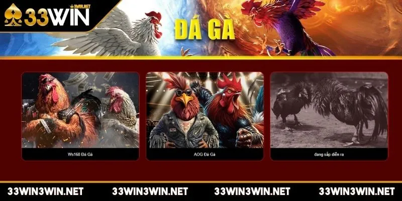 da-ga-33win-gioi-thieu