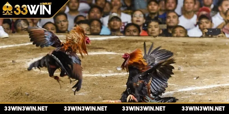 da-ga-cua-sat-quy-dinh