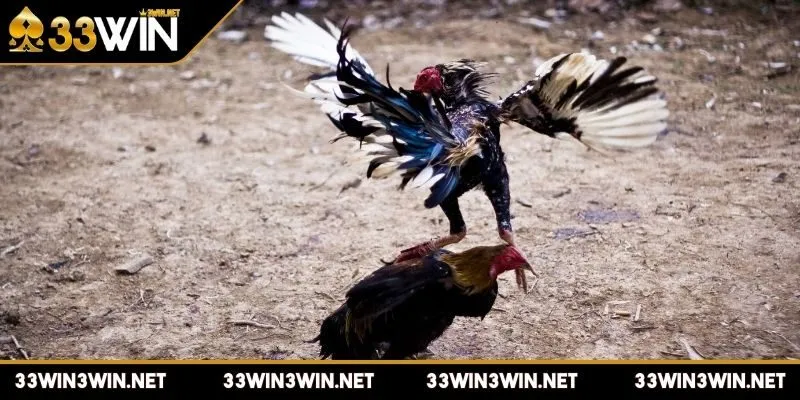 luat-da-ga-mien-nam-la-gi